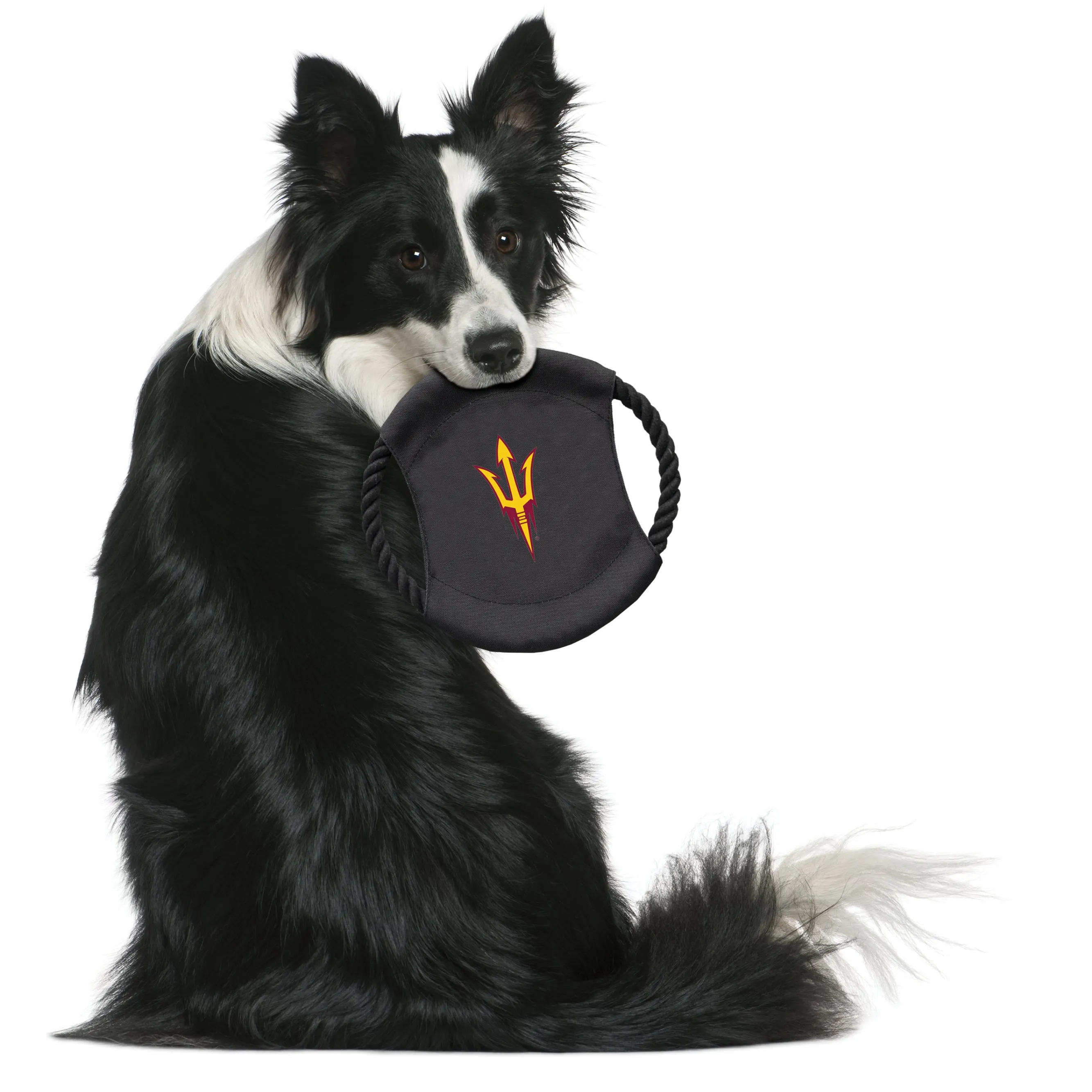 Arizona State University Team Flying Disc Pet Toy