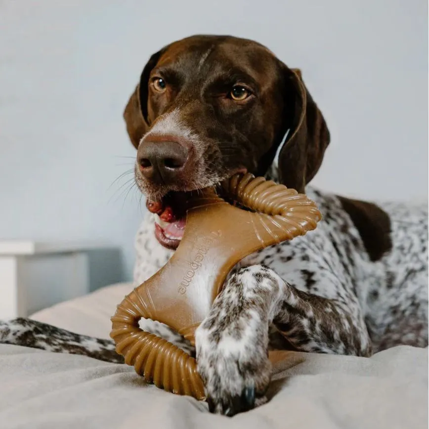 Benebone - Dental Chew