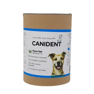 Canident