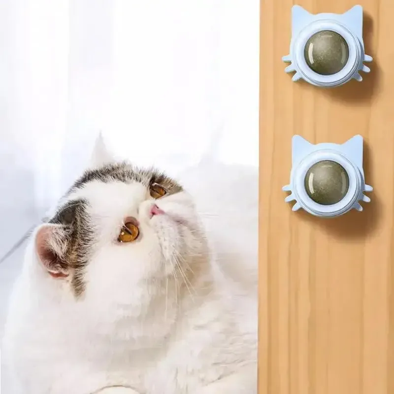 Catnip Balls for Cats Lickable Snack & Chewing Toy