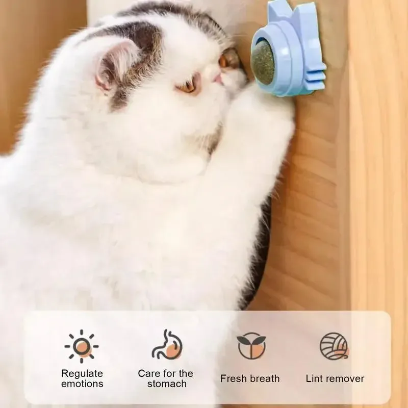 Catnip Balls for Cats Lickable Snack & Chewing Toy