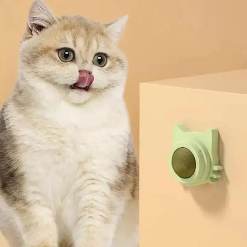 Catnip Balls for Cats Lickable Snack & Chewing Toy