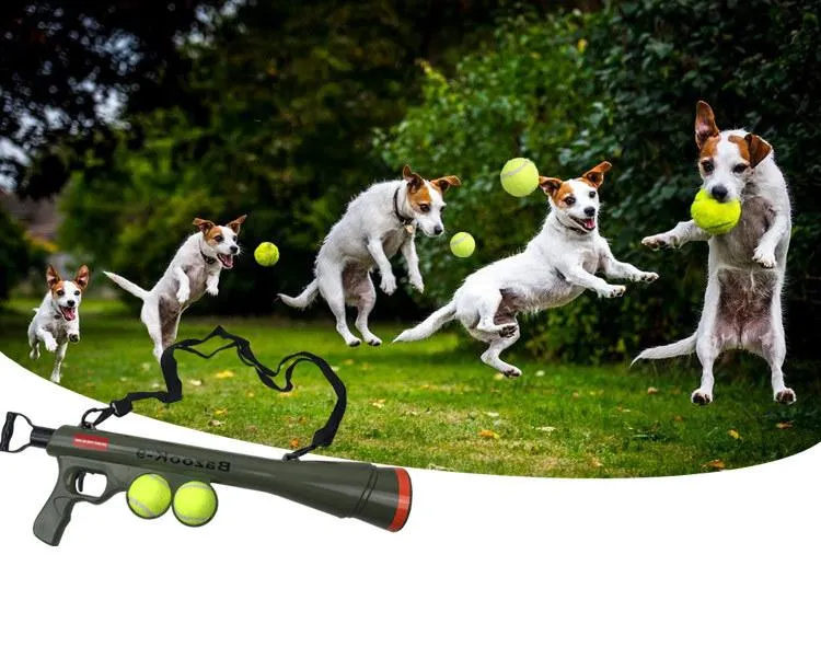 Dog Ball Cannon