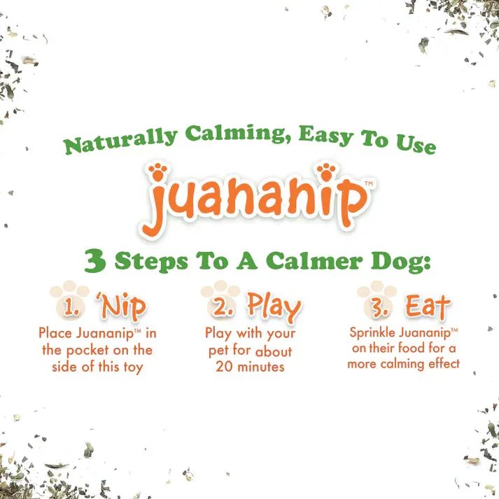 Doggijuana Get the Pawty Started Refillable Cake Slice Dog Toy (Medium)
