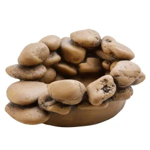 Exo Terra Frog Pond Pebble Water Dish