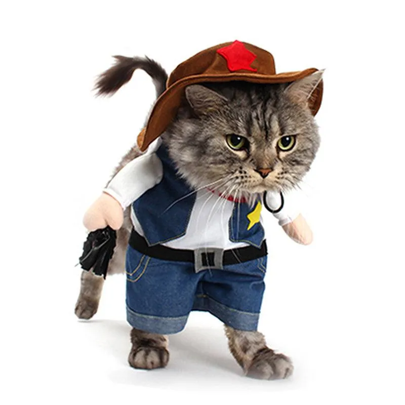 Funny Costume a Cowboy for Cat