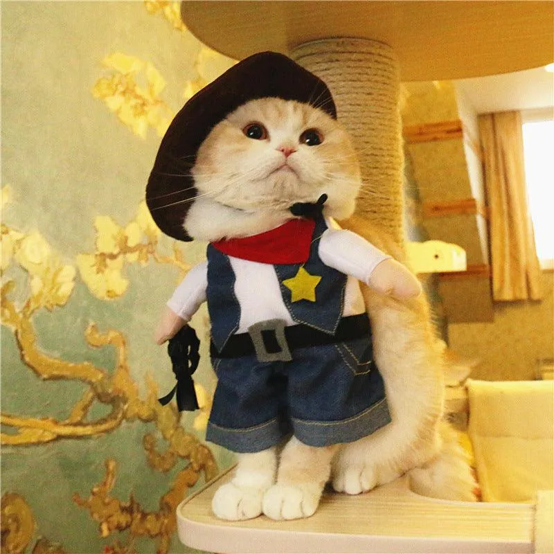 Funny Costume a Cowboy for Cat