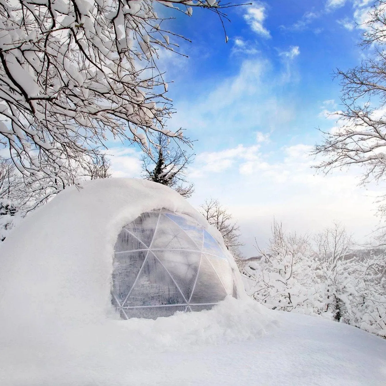 Garden Igloo | Dome, Aluminum, 11'9"W, 7'2"H - Outdoor Dining, Play Area for Children, Stylish Conservatory, Greenhouse, Gazebo