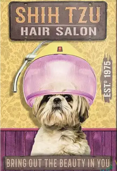 Groomers’ Salon Shop Signs Metal Tin Decor Wise Witty Wonderful ~ 2 Sizes Free Delivery