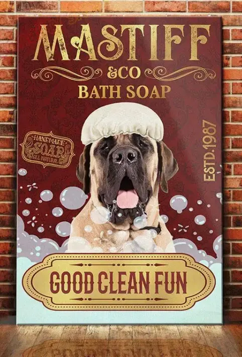 Groomers’ Salon Shop Signs Metal Tin Decor Wise Witty Wonderful ~ 2 Sizes Free Delivery