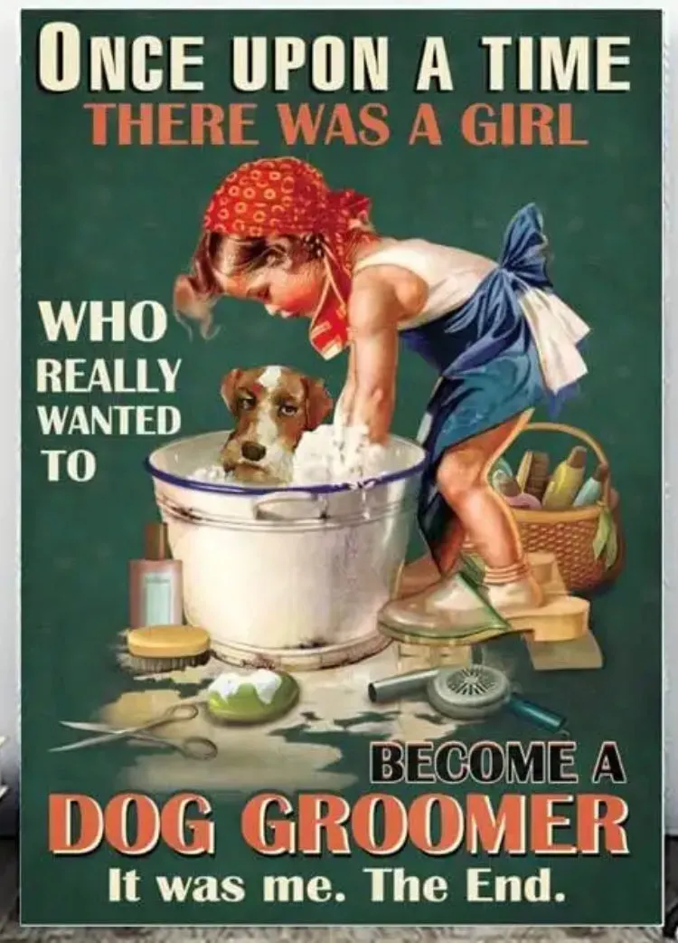 Groomers’ Salon Shop Signs Metal Tin Decor Wise Witty Wonderful ~ 2 Sizes Free Delivery