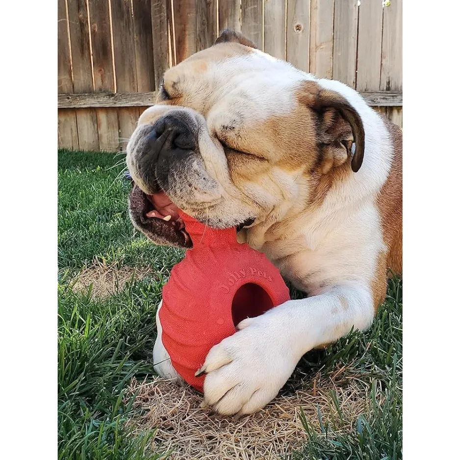Jolly Pets Tuff Treader Dog Toy
