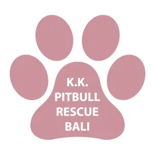 KK Pit Bull Rescues in Bali | DONATE $100