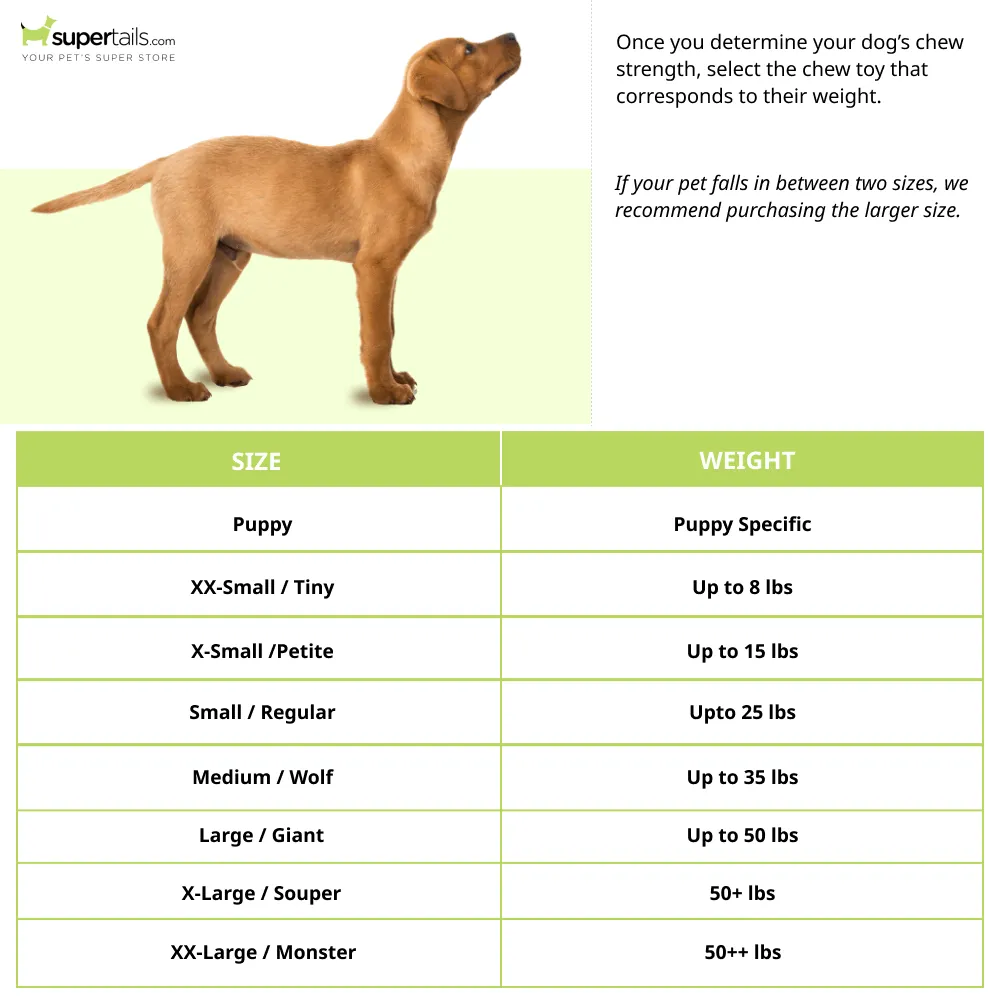 Nylabone Beef Flavor Power Chew Femur Dog Bone for Dogs