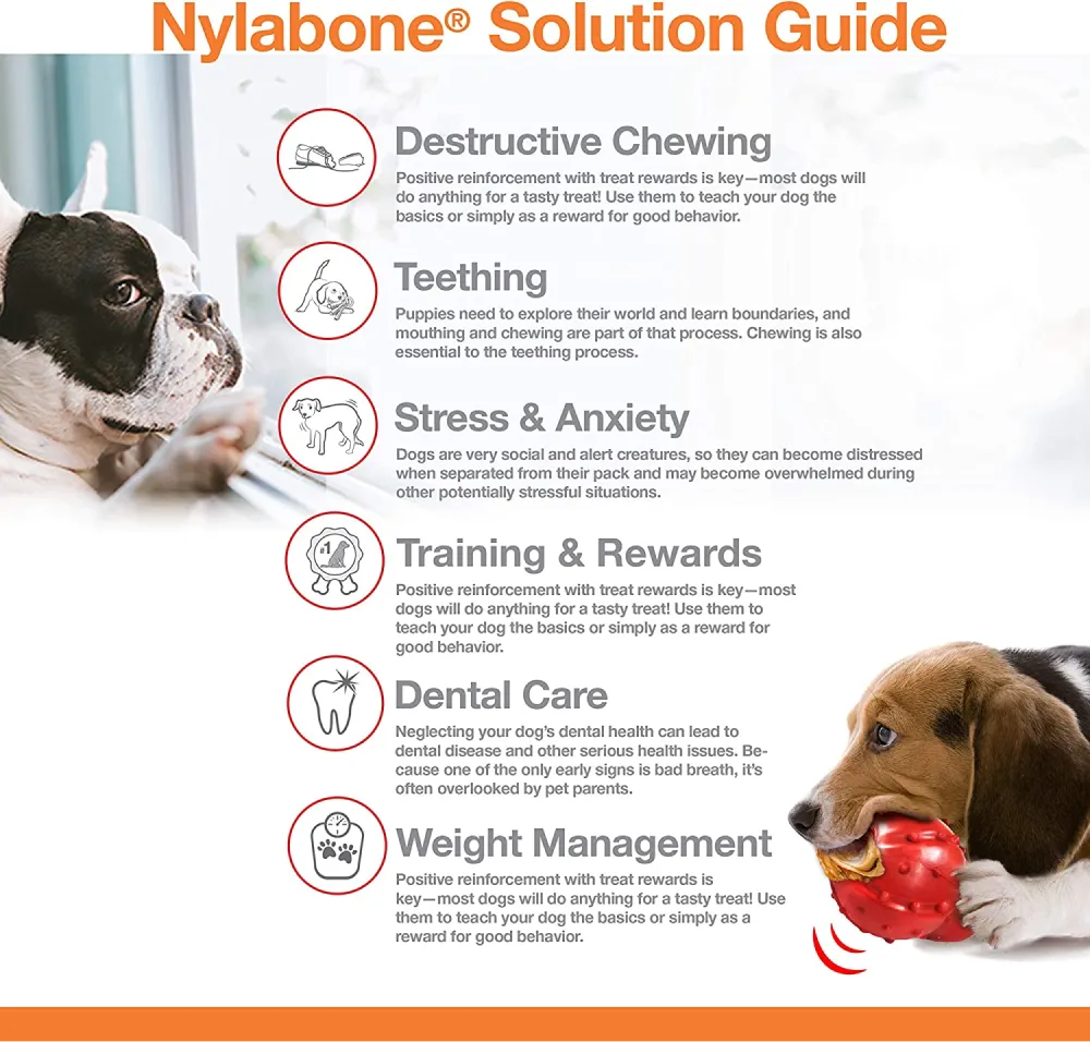 Nylabone Beef Flavor Power Chew Femur Dog Bone for Dogs
