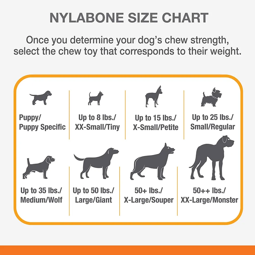 Nylabone Beef Flavor Power Chew Femur Dog Bone for Dogs
