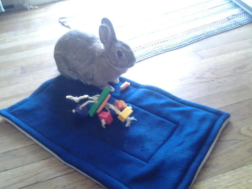 Octopus Rabbit Toy