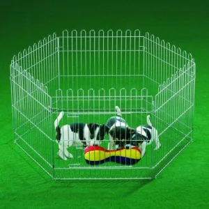 Puppies Play Pen