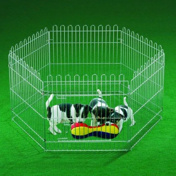Puppies Play Pen