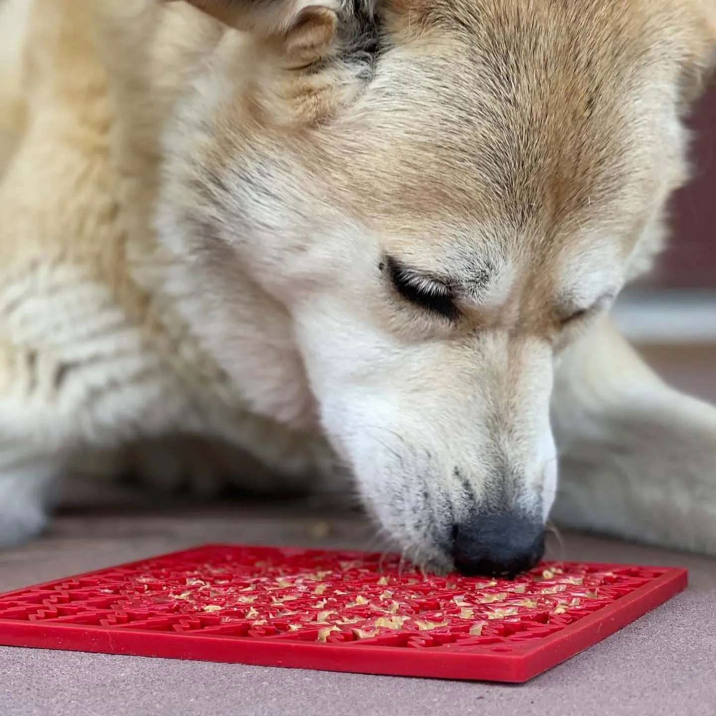 Soda Pup Holiday Enrichment Lick Mat