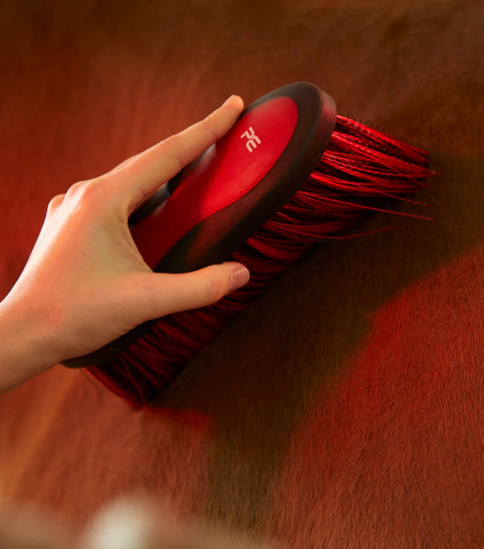 Soft-Touch Dandy Brush - Long Bristles Orange & Amber