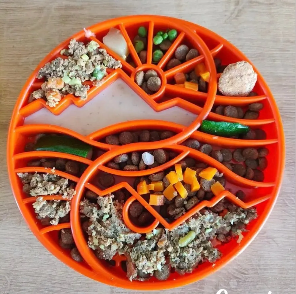 Sun and Moon Design eTray Enrichment Slow Feeder Tray for Dogs