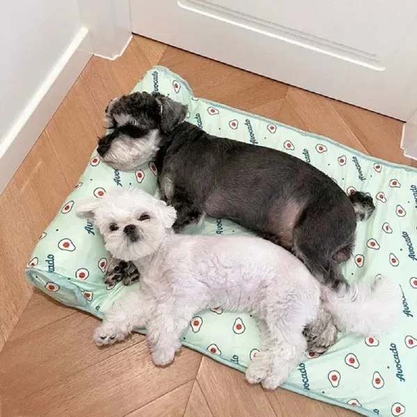 The Summer  Hot Sale--Cats/Dogs Cooling Bed