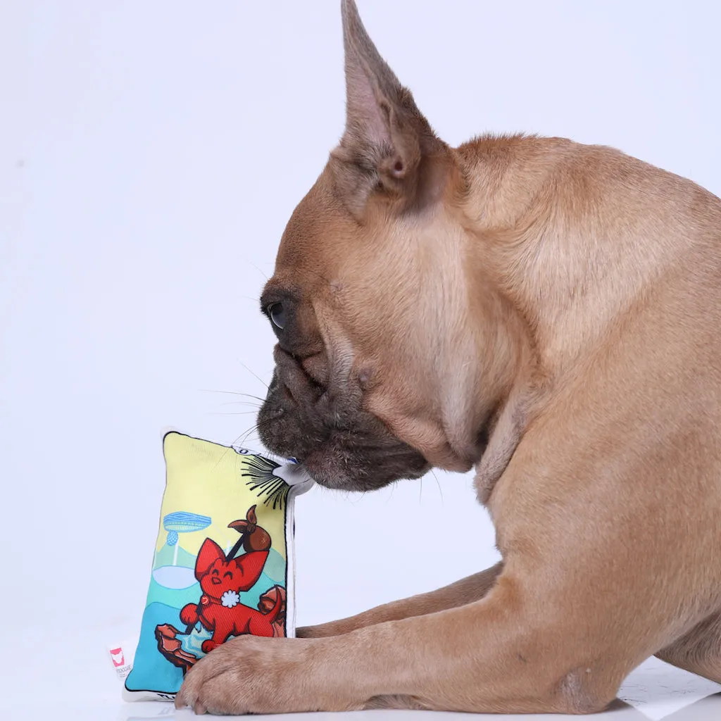 The Woof Card - Pet Toy for Dog or Cat