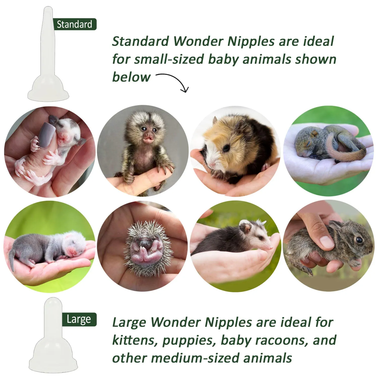 Wonder Nipple & Syringe Set